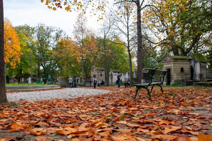 Paris: Full-Day Custom Tour with Local Guide - Getting around: metro and bus help, plus an optional car