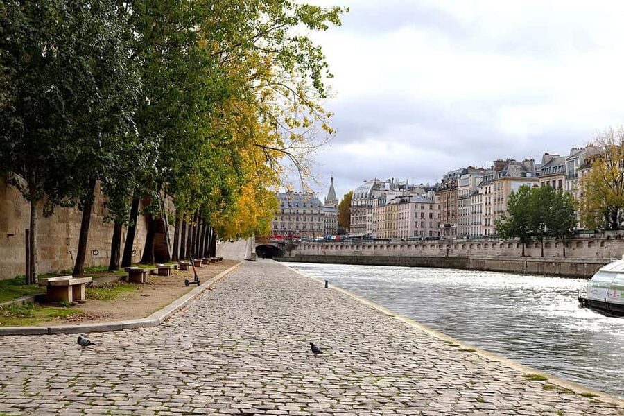 Paris: Latin Quarter Walking Tour with Local Guide - Notre Dame: seeing the Gothic powerhouse, then moving on