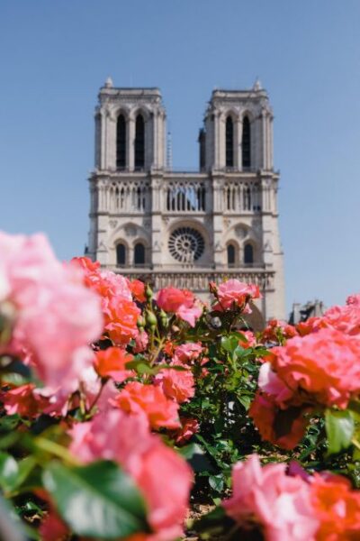 Notre Dame Exterior Walking Tour with Sainte Chapelle
