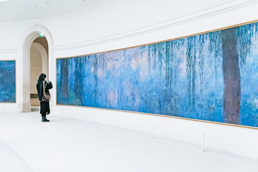Paris: Orangerie Museum Skip-the-Line Entry and Guided Tour - Why the oval room is worth arriving first