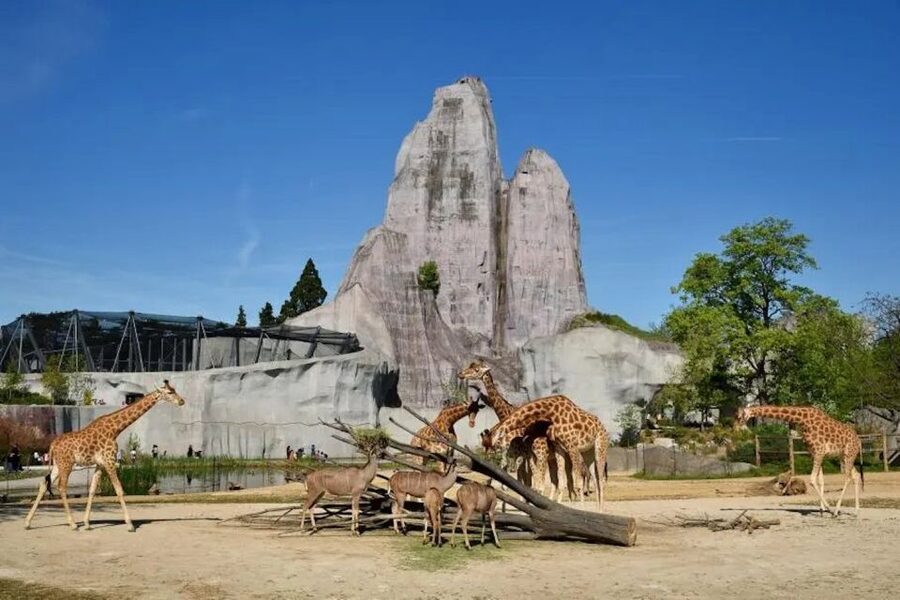 Paris: Paris Zoological Park Entrance Ticket - Where the Zoo Is (and Why Location Helps)