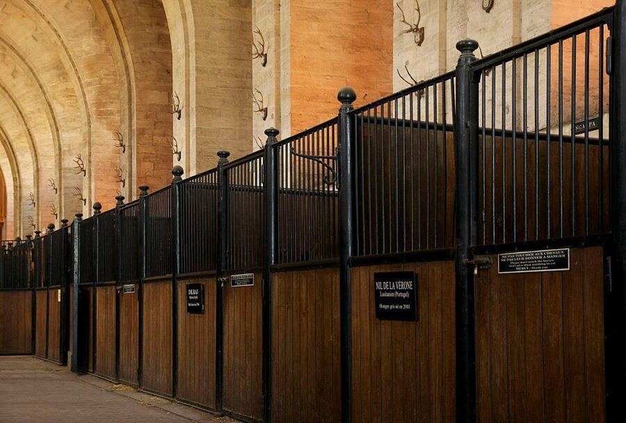 Paris: Private Tour of Domaine de Chantilly Ticket&Transfer - What to bring, what to expect at the gate, and small rules