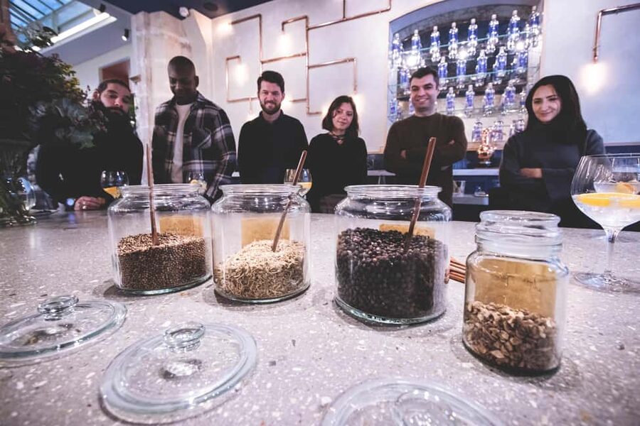 Paris Visit and gin tasting in English - English tour, small group, and expert-led meaning