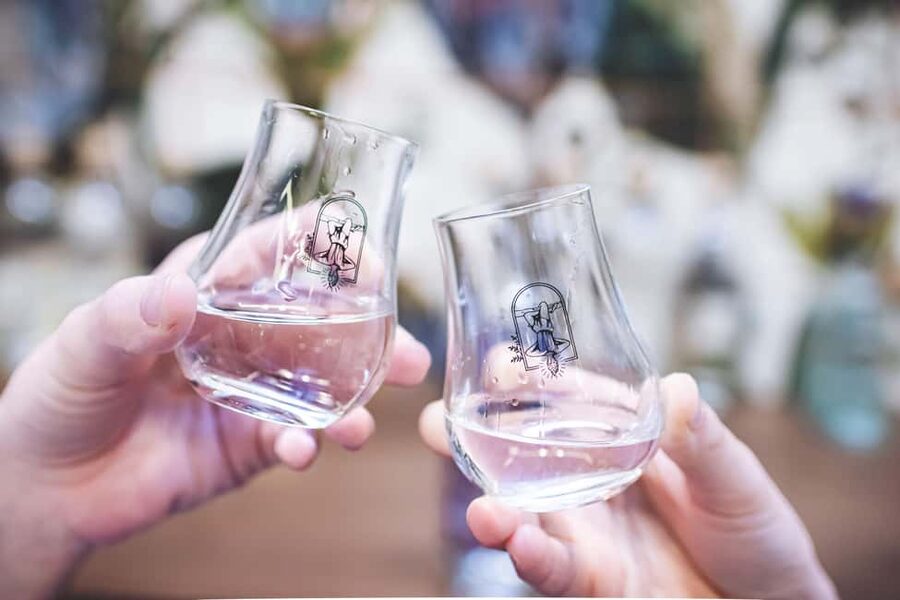 Paris Visit and gin tasting in English - The one-hour plan: what you do from start to finish
