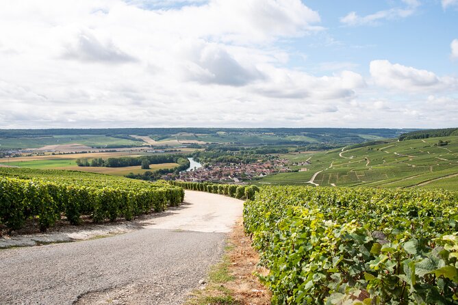 Reims afternoon tour Champagne and family growers - What the “six tastings” are really for, and how to get more out of them