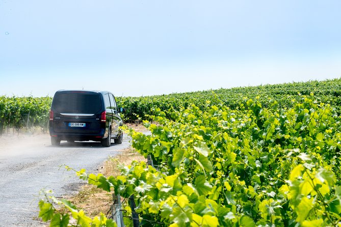 Reims afternoon tour Champagne and family growers - The guide experience matters here, and the best part is the tone