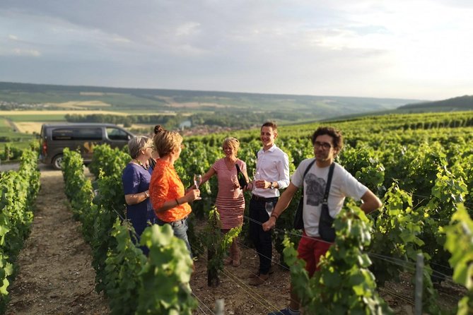 Small Group - Half Day Champagne Tour - Visit of 2 Small Producers/Growers - Price and Value: What $145 Gets You in Champagne Time