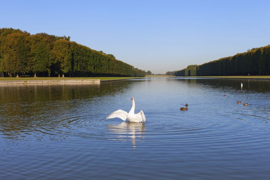 Versailles: Skip-the-Line Guided Tour of Palace with Gardens - Crowd Strategy That Actually Helps
